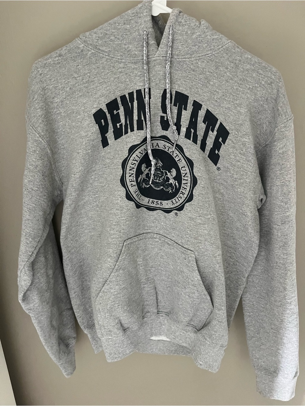 Gray Penn State Hoodie Small